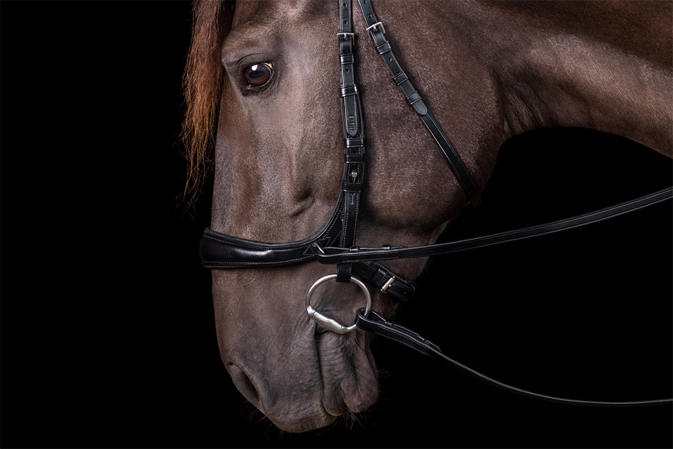 Trense SP Equitus Theta