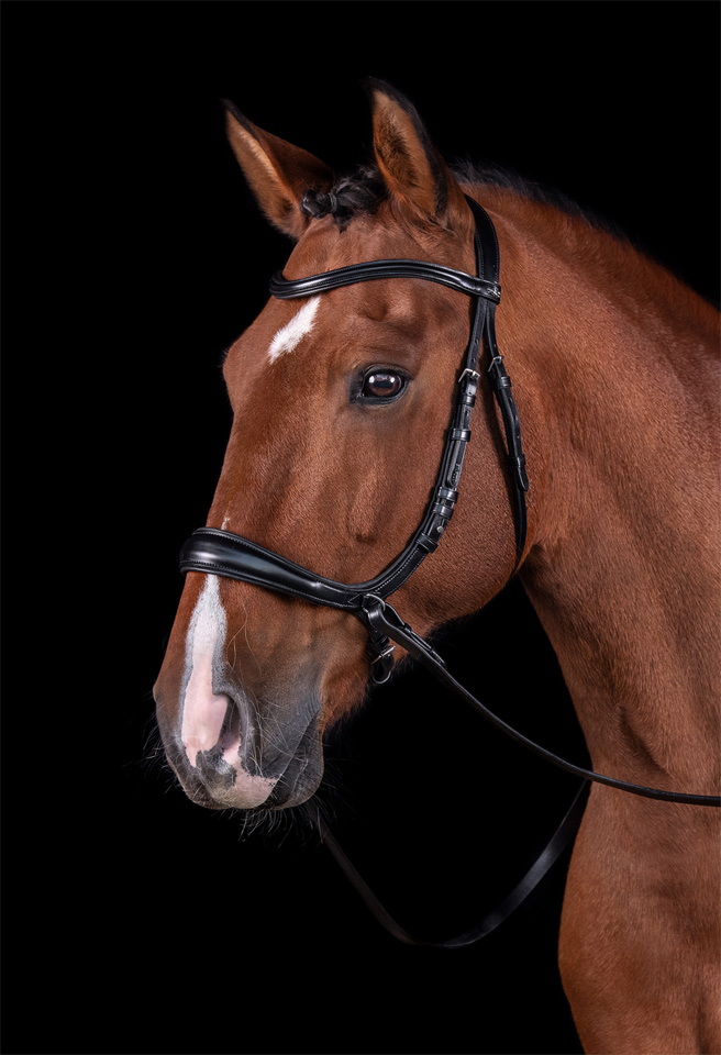 Trense SP Equitus Theta